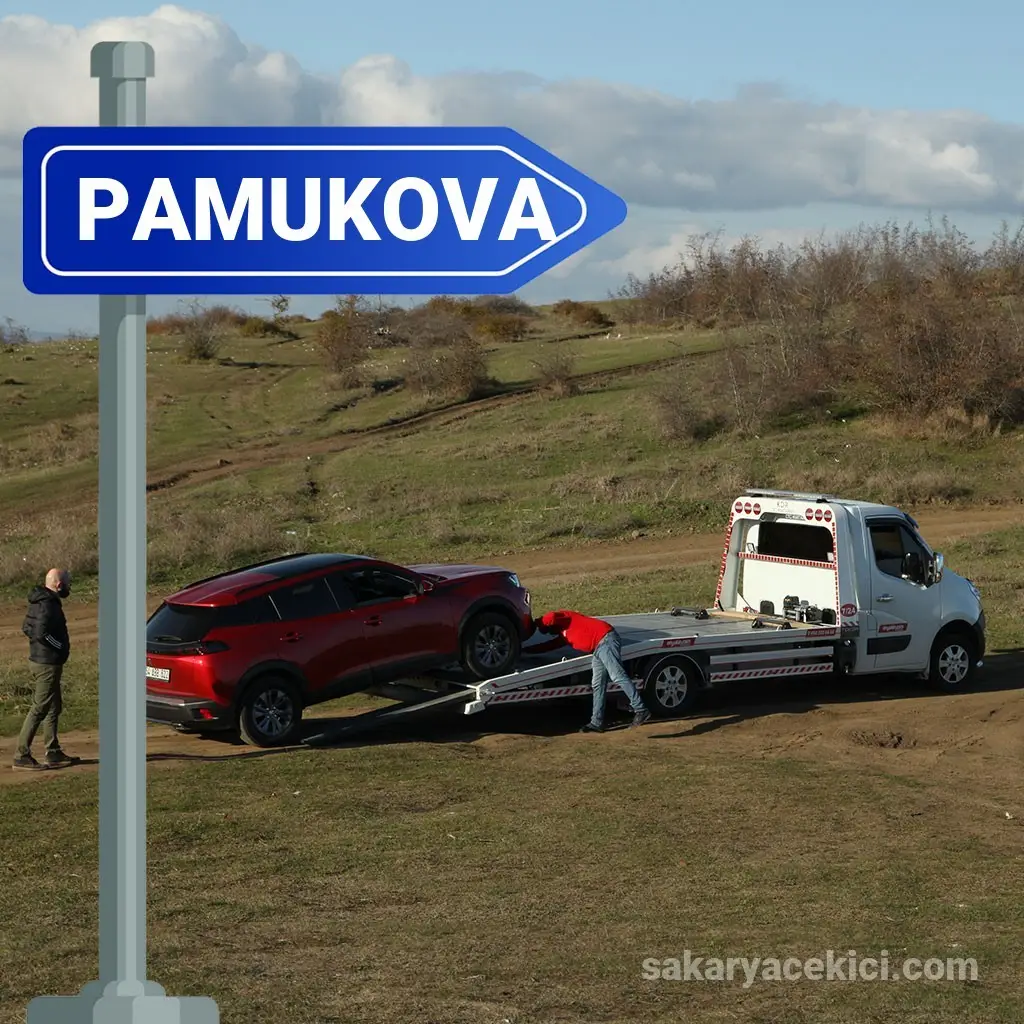 D650 Karayolu ve Mekece Rampasında Araç Kurtarma - Pamukova Çekici D650 Karayolu ve Mekece Rampasında Araç Kurtarma - Pamukova Çekici